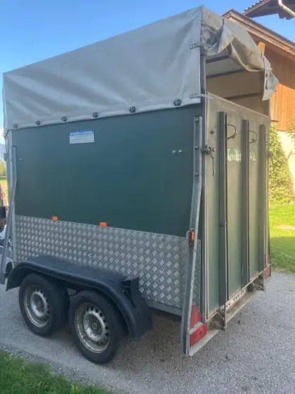 Viehanhänger mit neuem Pickerl