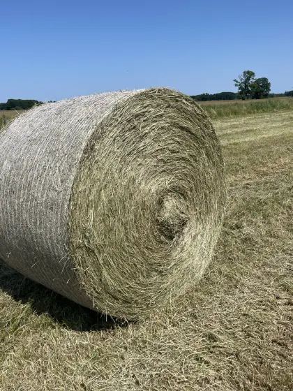 Heu, Siloballen