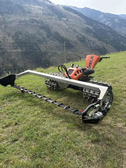 Ibex 28