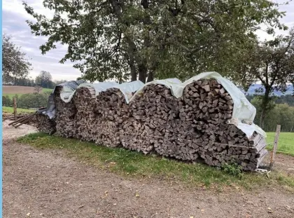 Brennholz