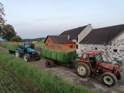 LKW-Einachs-Kipper