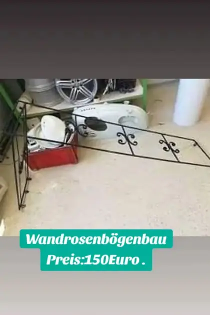 Wandrosenbögen geschmiedet