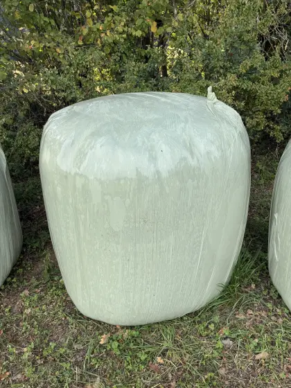 Silageballen