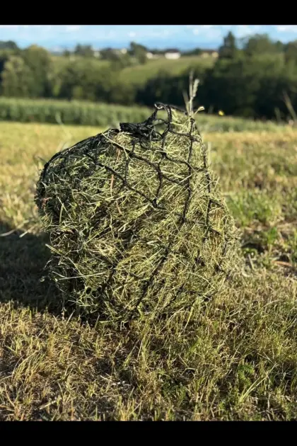 Heunetz (100 cm) befüllt mit bestem Heu (6 kg), Maschenweite