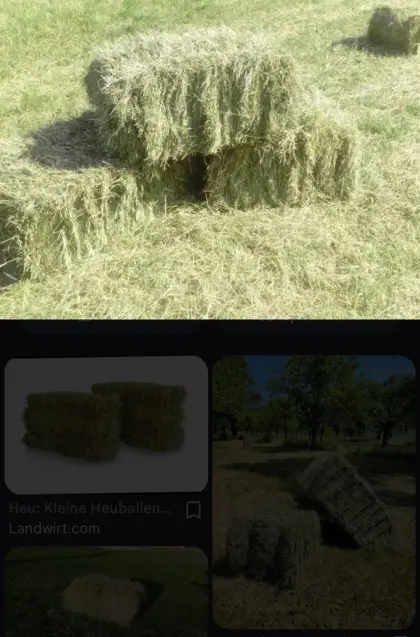 Suche kleine Heuballen für Ziegen