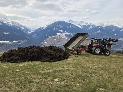Kaufe Mist