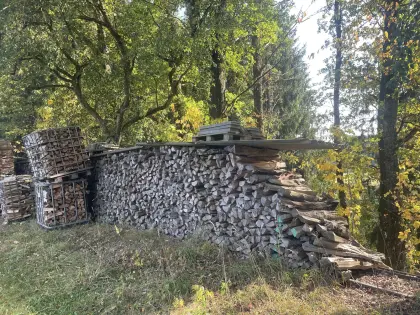 Brennholz