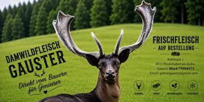 Damhirsch