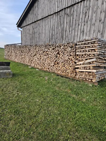 Fichte Brennholz 1 m