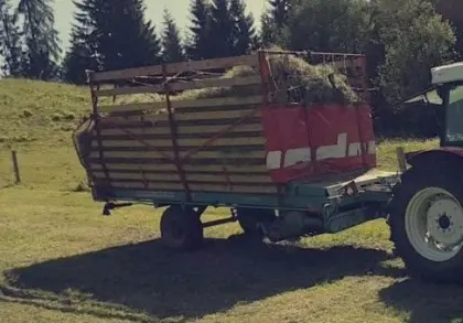 Steyr Hamster