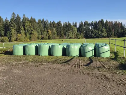 Siloballen 5. Schnitt
