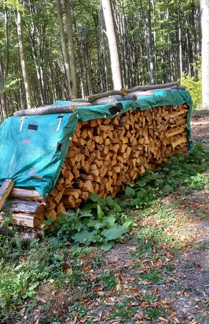 Brennholz