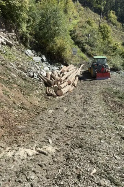 Holzschlägerung und Bringung