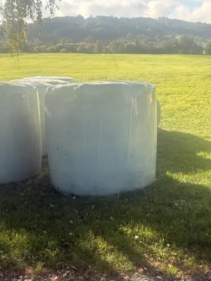 Bio-Silage-Rundballen