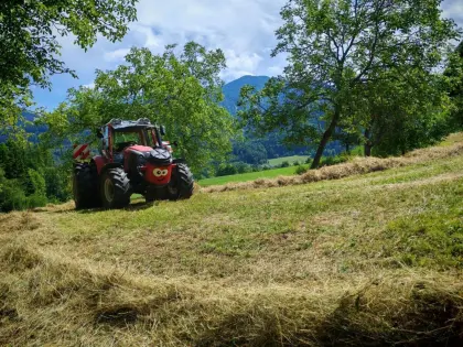 Mähwiesen und Grünland gesucht, BIO-HOF SCHERIAU