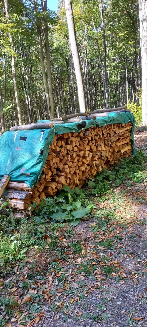 Brennholz