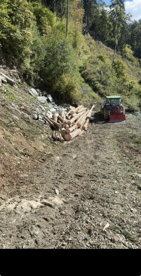 Holzschlägerung und Bringung