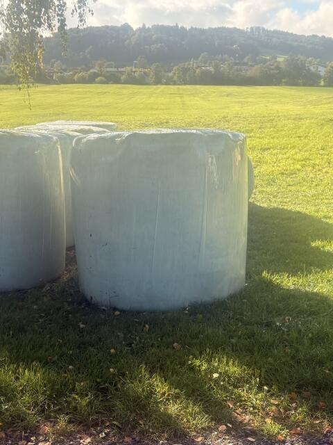 Bio-Silage-Rundballen