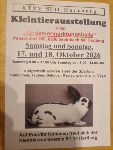 Zwerghasen