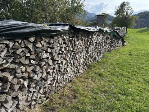 Brennholz, Scheitholz, Buche, Esche, Hartholz, 1 m