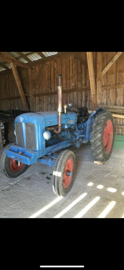 Fordson Major, Bj. 1952