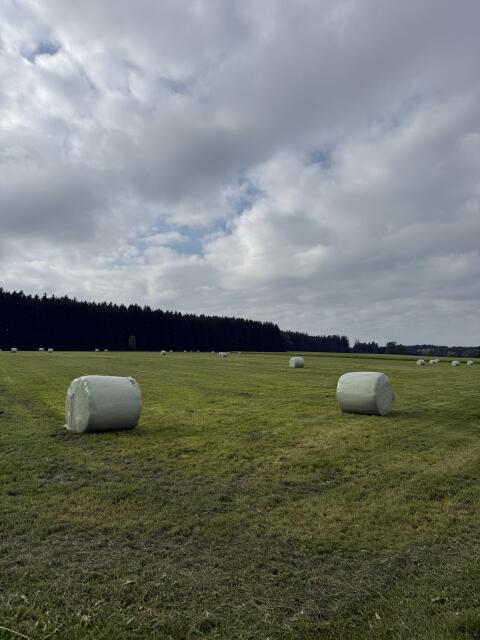 Siloballen