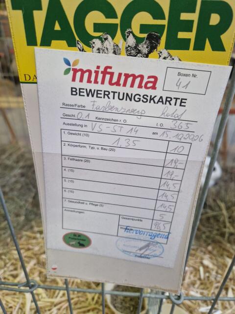 Farbzwerg