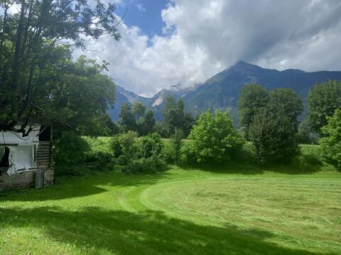 Suche Grünland, Weide zur Pacht, 1,5–2 ha