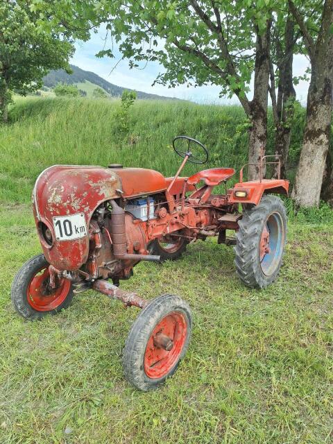 Porsche Traktor A111 Oldtimer, Hofherr Schranz A111