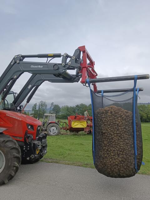 Bio-Kartoffeln Ditta