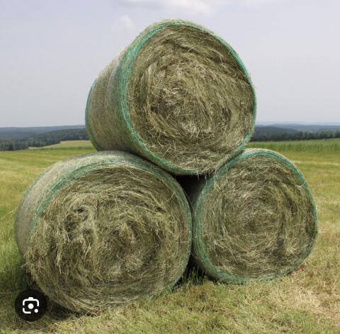 Heuballen zu verkaufen