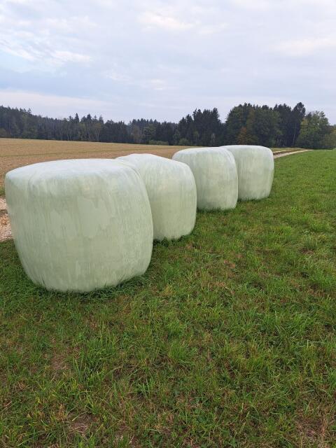 Silageballen
