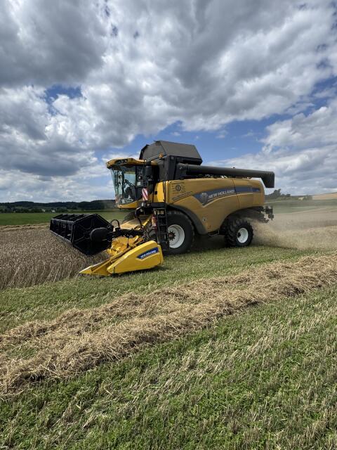 Mähdrescher New Holland CX 6080 Elevation
