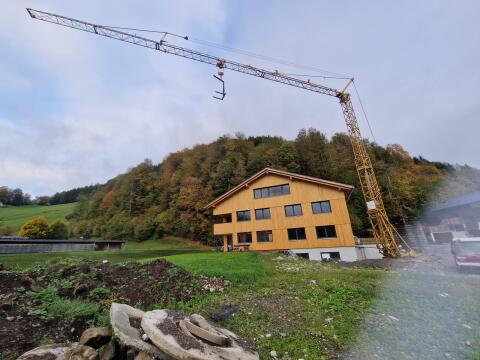 Potain Turmdrehkran, Baukran, gebraucht zu verkaufen, Potain