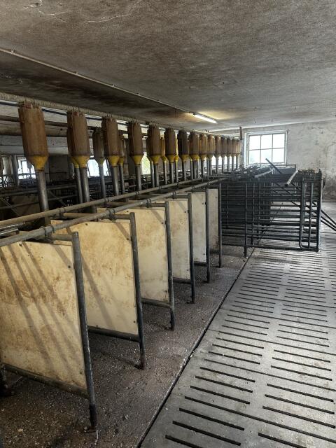 Schweinestall-Einrichtung Aqua-Level STEWA