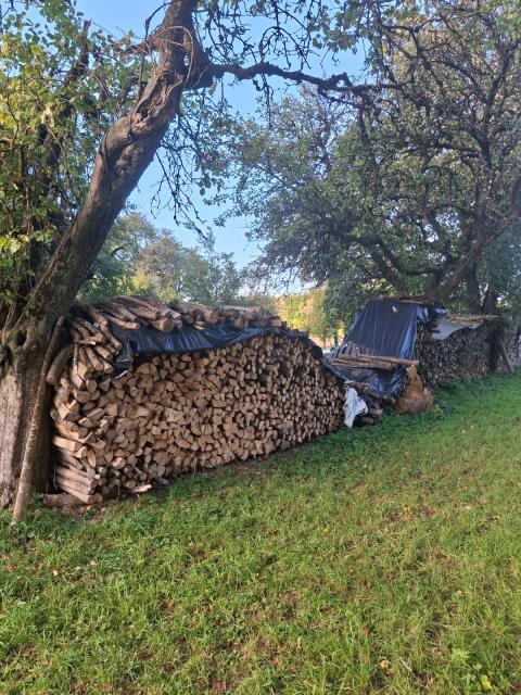 Brennholz
