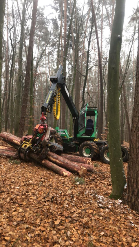 Harvester Woody 60 mit Skogsjan 695