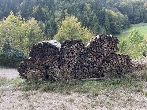 Brennholz hart