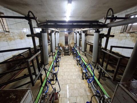 DeLaval Melkstand MP400