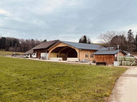 Einstellplatz für Stute zu vergeben