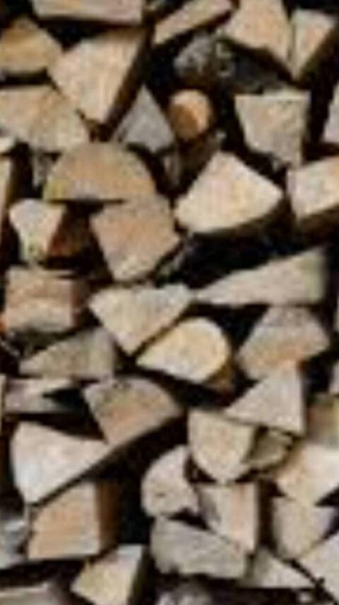 Brennholz
