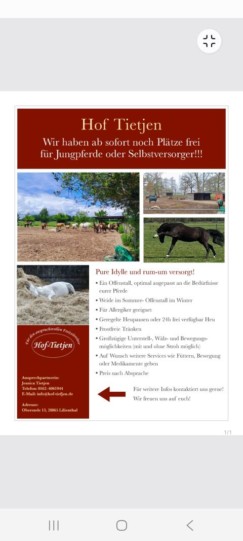 Jungpferdeaufzucht oder Rentnerplätze