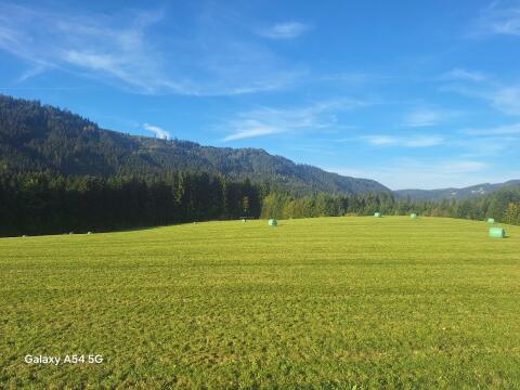 Silageballen 2. Schnitt