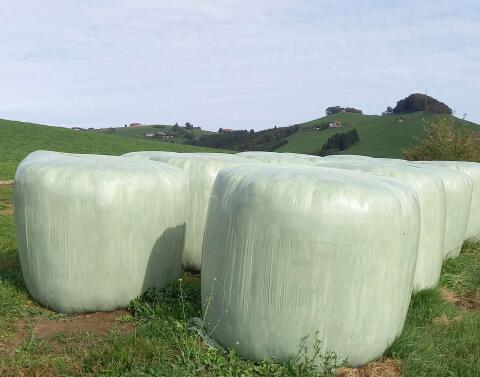 10 Bio-Silageballen zu verkaufen