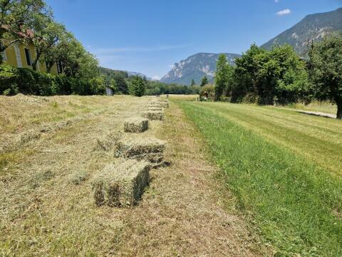 Heu in Kleinballen