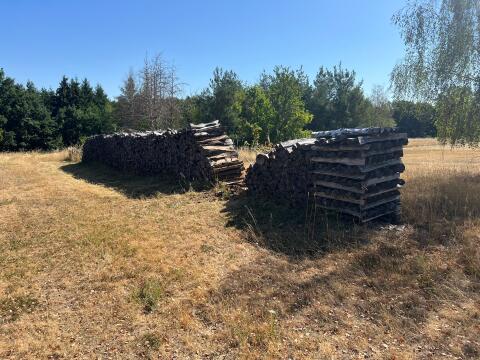 Brennholz trocken