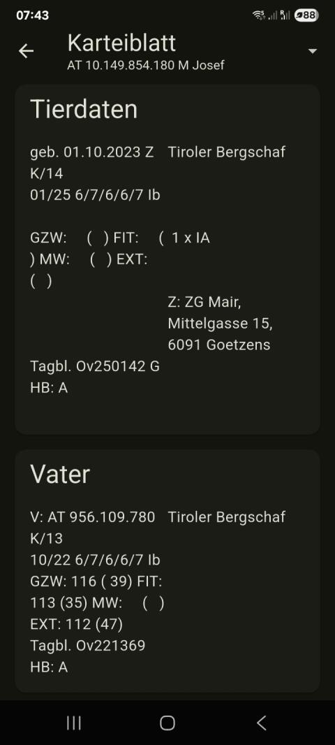 Tiroler HB Bergschafwidder