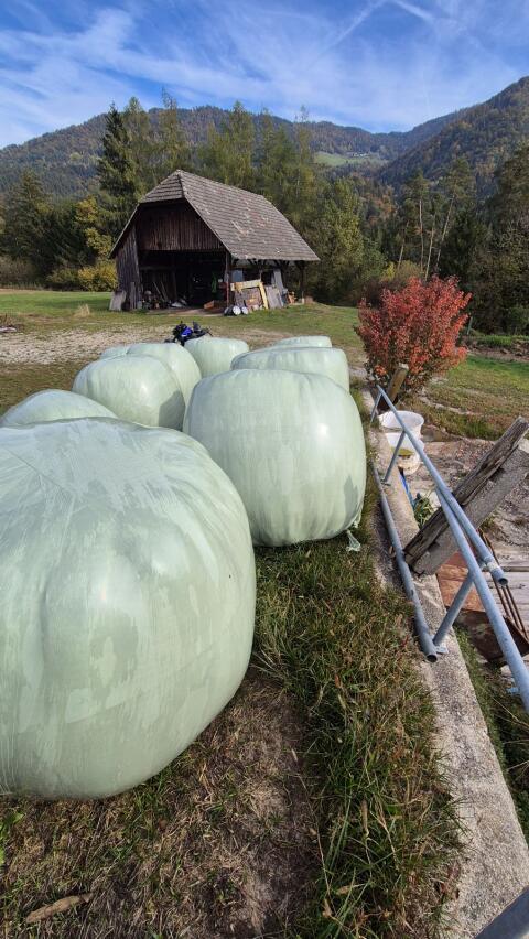 Silageballen