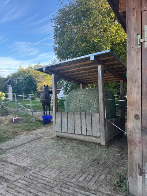 Einstellplatz Pferd