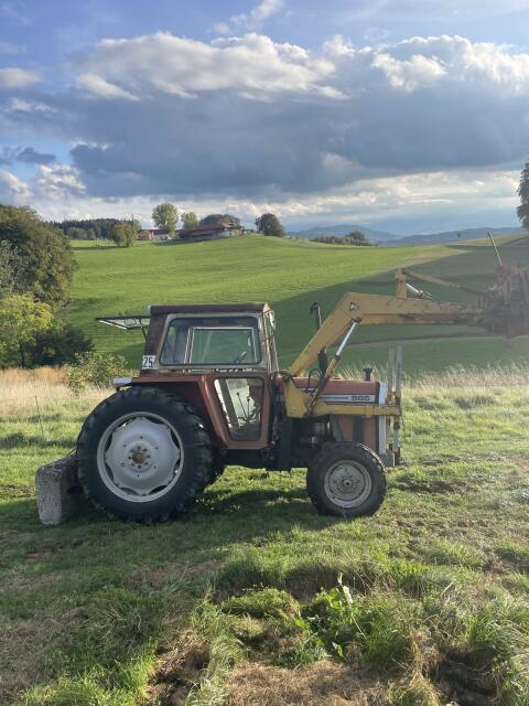 Massey Ferguson 565